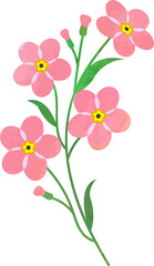 Obraz na płótnie Canvas Water color texture botanic garden plant pink forget me not flower