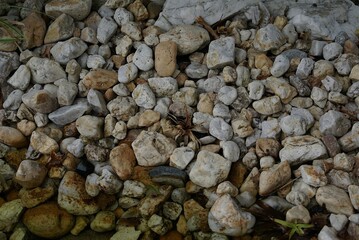 stones on the beach