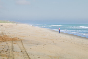 person walking on the beach