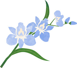 Obraz premium Water color texture botanic garden plant flower light blue orchid