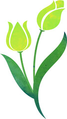Water color texture botanic garden plant flower green tulip