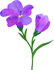 Water color texture botanic garden plant flower purple freesia