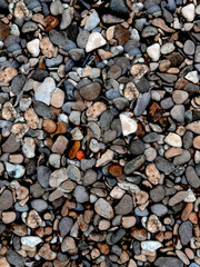 Multicolored colorful sea pebbles, natural background, texture.