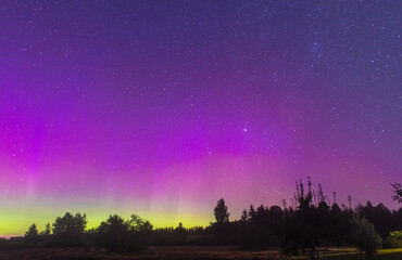 Night landscape with northern lights in green violet starry sky - obrazy, fototapety, plakaty