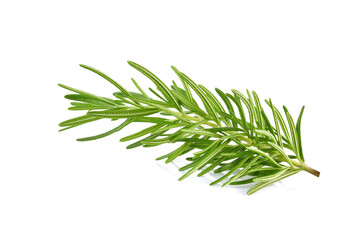 Fototapeta premium Rosemary isolated on white background