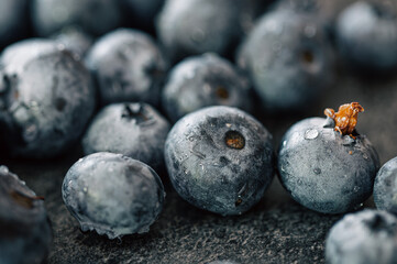 Wet ripe blueberries close up, macro shot.