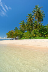 Beach with palm trees on Cayo Zapatilla, Panama