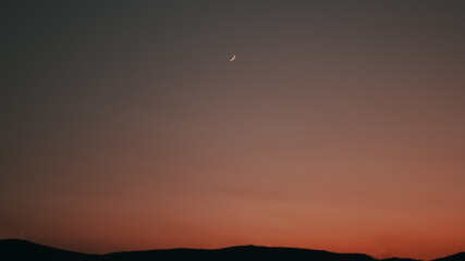 Nature shot in vacations at summer