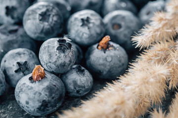 Wet ripe blueberries close up, macro shot.