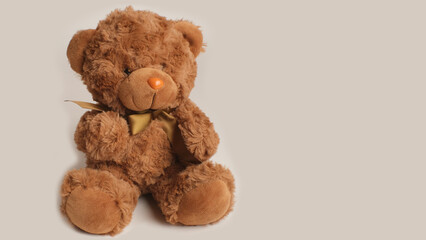 Sitting teddy bear on a light background.