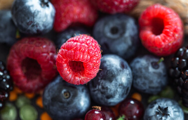 Natural background with different wild berries, macro shot.