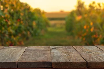 Foto op Plexiglas lege houten tafel over onscherpe achtergrond van wijngaard © alter_photo
