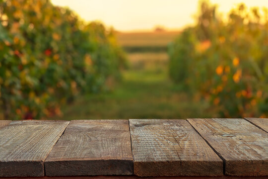 empty wooden table over blurred background of vineyard