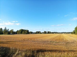 Fototapeta na wymiar Finland autumn field, with sky, and forest landscape