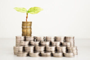 Fototapeta na wymiar coins stack with plant green leaves growth on top coin on white background. financial, investment and money saving concept. ESG Environmental Social Governance. startup.