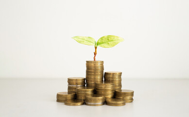 coins stack with plant green leaves growth on top coin on white background. financial, investment and money saving concept. ESG Environmental Social Governance. startup.
