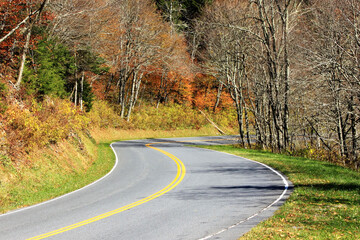 road curves in autumn forest. double yellow line. winding road.