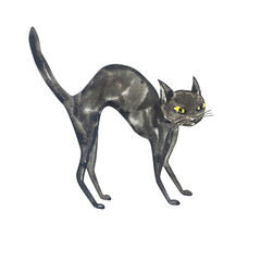 Watercolor illustration, black cat
