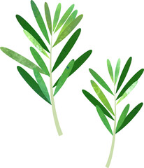 Colorful watercolor texture food ingredient vegetable spice Rosemary