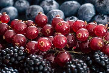 Background from a mix of different berries, macro photography.