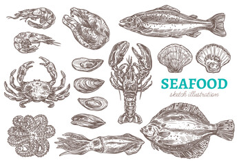 Seafood set of sketch vector illustrations - different kinds of sea and ocean animals suitable for cooking and eating. Hand drawn fish, crustaceans and ingredients for japanese restaurant or store