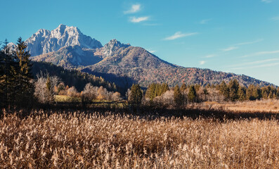 Obraz premium Awesome alpine highlands in sunny day. Scenic image of fairy-tale Landscape in sunlit with Majestic Rock Mountain on background. Wild area. Fantastic alpine landscape.