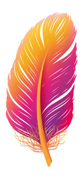 Boho Style Feather. Colorful Gypsy Plumage Element