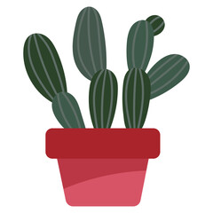 Cactus3