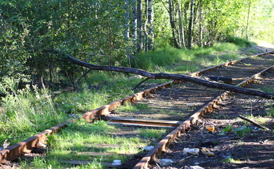 An old abandoned railway track in the forest with a fallen tree lying on the rails