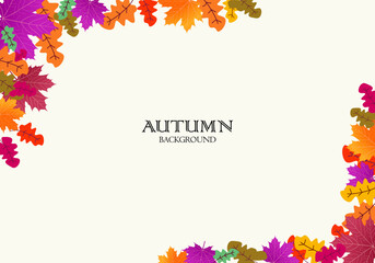 Obraz premium Autumn foliage Vector. on isolated white background. Abstract wallpaper design with maple leaves, line art. Elegant botanical in fall season. vector illustration
