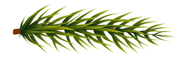 Christmas green garland element. Pine tree branch