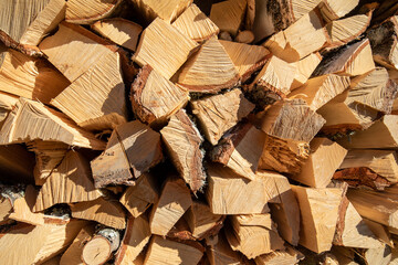 A stack of firewood for the winter