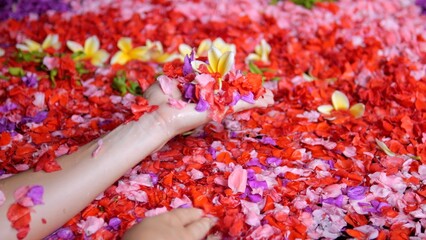 Flower petals float in the bathroom where the woman takes aromatherapy. Women's hands raise rose petals from the water. A woman relaxes in a bath with red flowers. Aroma therapy concept