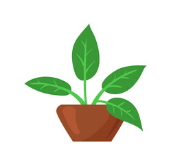 Home flower in pot. Green houseplant in brown garden vase for indoor bookshelves, flat icon vector illustration