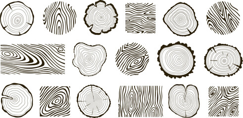 Wooden logs textures. Wood concepts graphics, lumber circles top view. Vintage outline tree rings stumps, cut trees structure racy vector collection