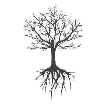 Abstract tree with roots. Vector outline illustration. Plant in Garden.