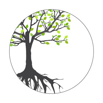 recommend clip art: Abstract tree with roots. Vector outline illustration. Plant in Garden.