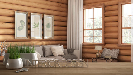 Wooden table, desk or shelf with potted grass plant, house keys and 3D letters making the words interior design, over log cabin living room, project concept copy space background