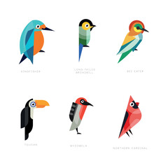 Colorful Stylized Birds Collection with Kingfisher, Long-tailed Broadbill, Bee-eater, Toucan, Myzomela and Northern Cardinal Vector Set