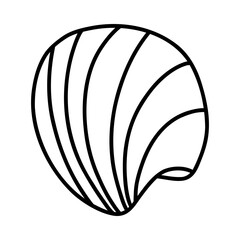 Line art sketch seashells.