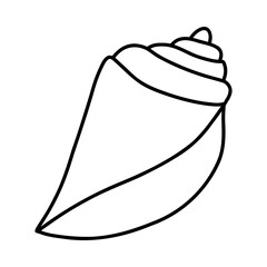 Line art sketch seashells.