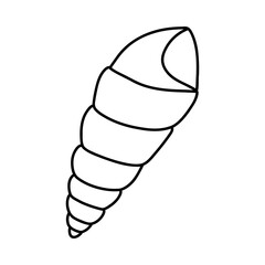Line art sketch seashells.