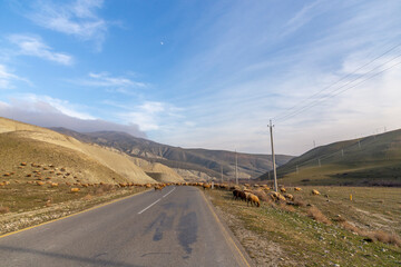 Altıagac reserve. Azerbaijan.