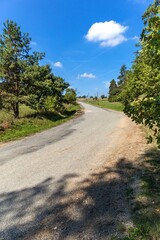 Plakat Rural asphalt road in the Czech Republic. Morning in the countryside. Road in summer landscape. A place for vacation.