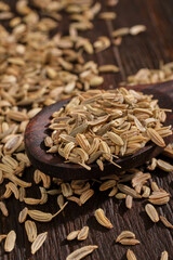 Spoon of Fennel seeds on wooden 