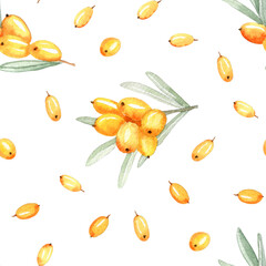 Watercolor seamless pattern with  sea buckthorn. Organic berries, vitamin and health life illustration