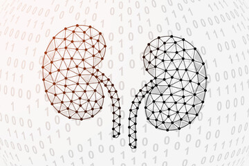 Kidneys 3d low poly symbol with binary code background. Urinary design vector illustration. Organ anatomy polygonal symbol with connected dots