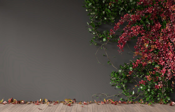 Wooden floor, dark gray wall-background with plants. Empty space, autumn wallpaper, 3d rendering