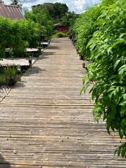 Obraz premium stairway to heaven