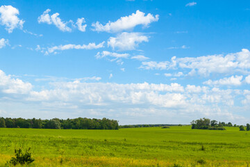 Fototapeta premium Panorama of a large green meadow with a forest in the background. Green pastures under a beautiful sky.